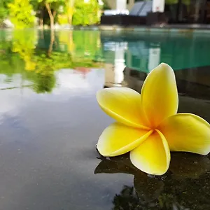 Horizon Villa